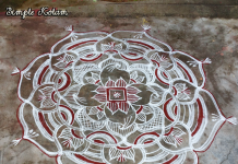 muggulu, dotless kolam, pulli kolam
